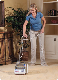 Clean the Carpet in Your Home with HOST